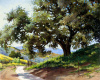 Fagan Oak